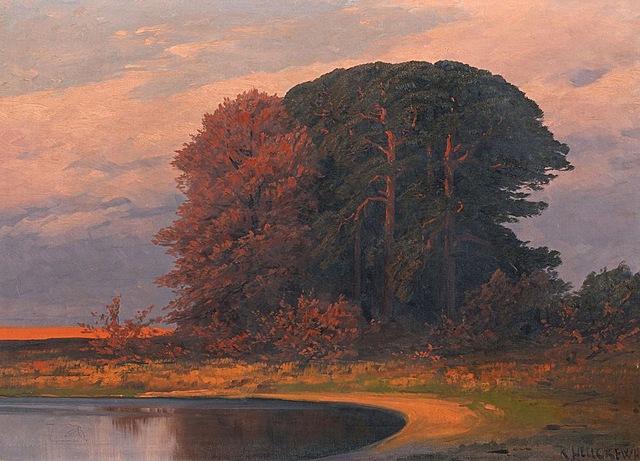 KĘPA DRZEW O ZMIERZCHU