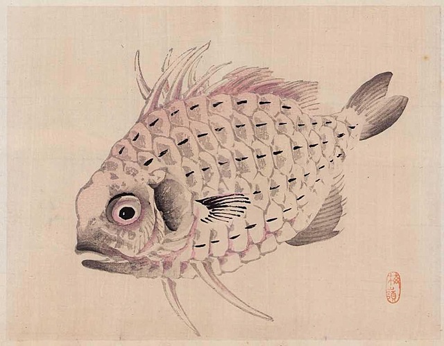 SOSNOWA RYBA, Kioto, 1913