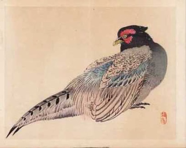 BAŻANT, Kioto, 1913