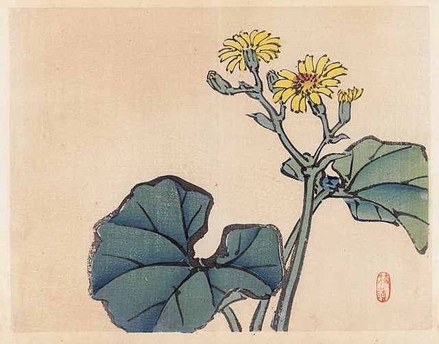 LAMPARCI KWIAT, Kioto, 1913