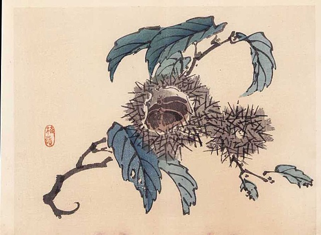 KASZTAN, Kioto, 1913