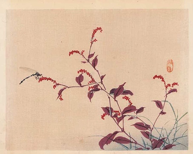 WAŻKA NA KWIATACH RDESTU, Kioto, 1913