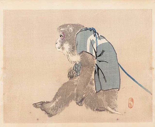 MAŁPKA, Kioto, 1913