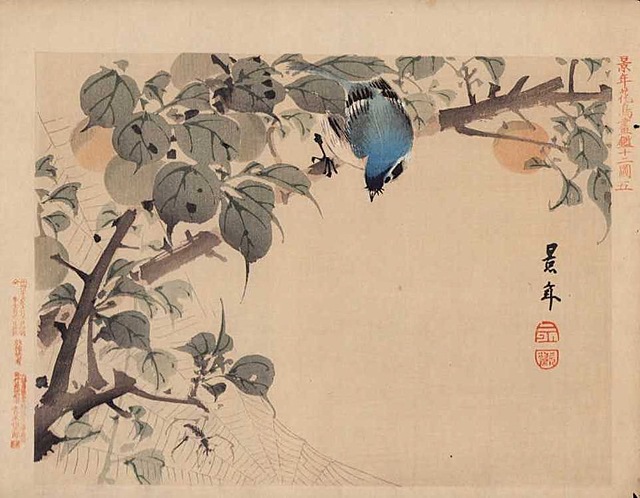 NIEBIESKI PTAK I PAJĄK, 1890