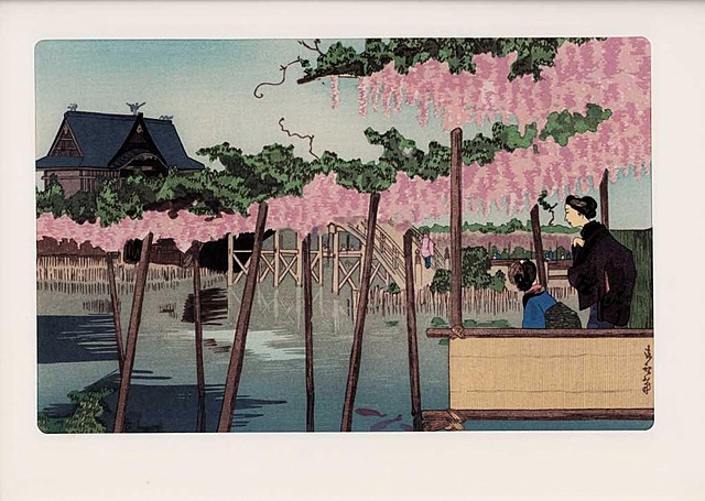 WISTERIA W KAMEIDO, 1980
