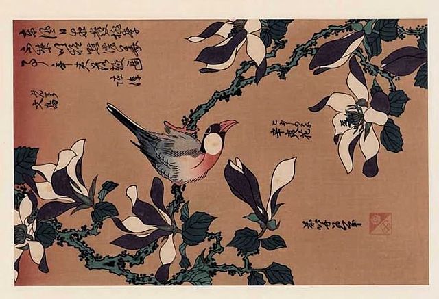 JASKÓŁKA I MAGNOLIA, ok. 1980