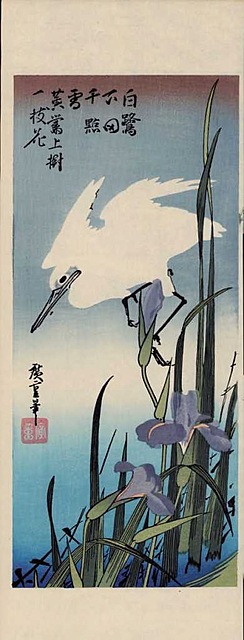 CZAPLA I IRYSY, 1980