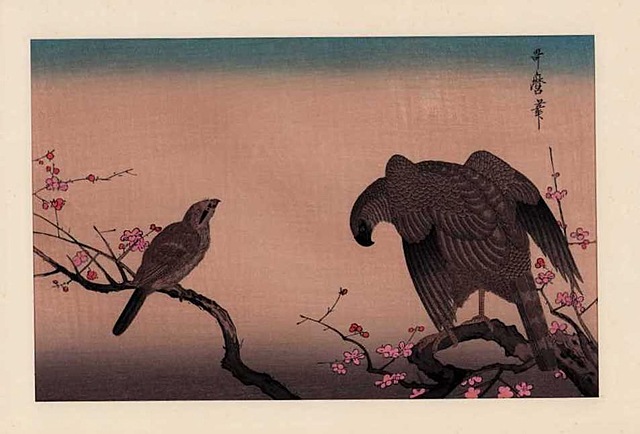 SOKÓŁ I DZIERZBA, 1970