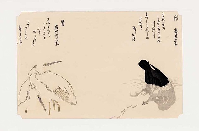 KORMORAN I CZAPLA, 1990