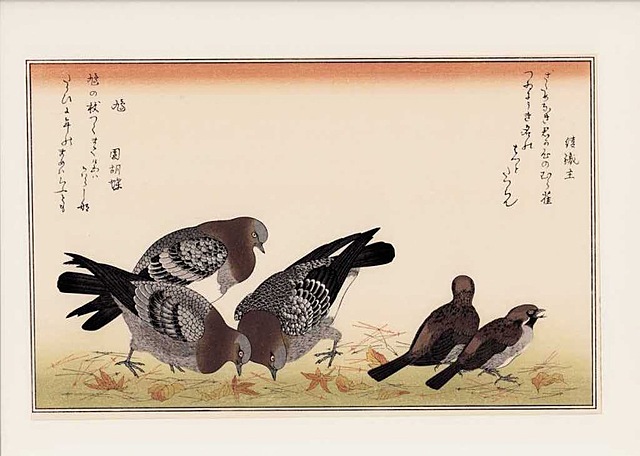 WRÓBLE I GOŁĘBIE, 1990