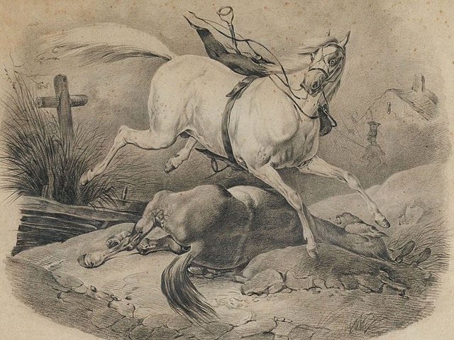 KONIE PIRENEJSKIE wg Victora Adama, 2 poł. XIX w.