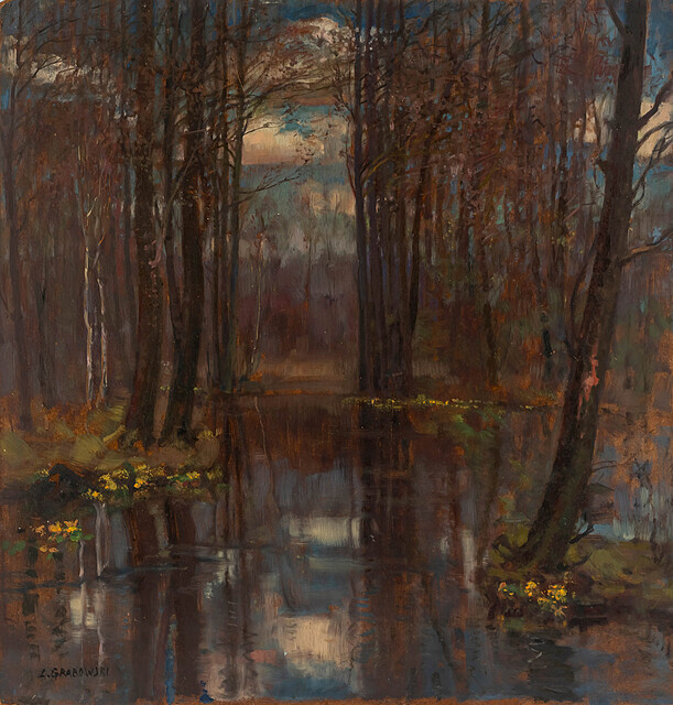 Rozlewisko z kaczeńcami