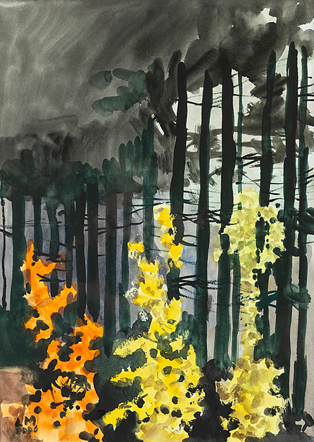 Las w Gulczewie, 2006 r.