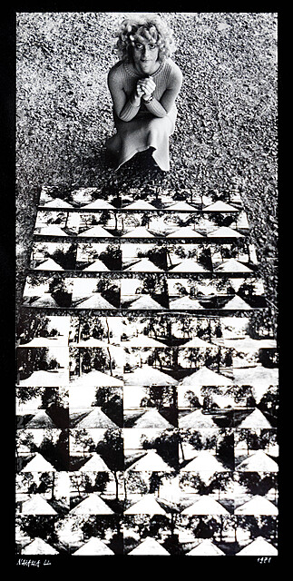 Otoczenie naturalne - 250 m drogi, 1971