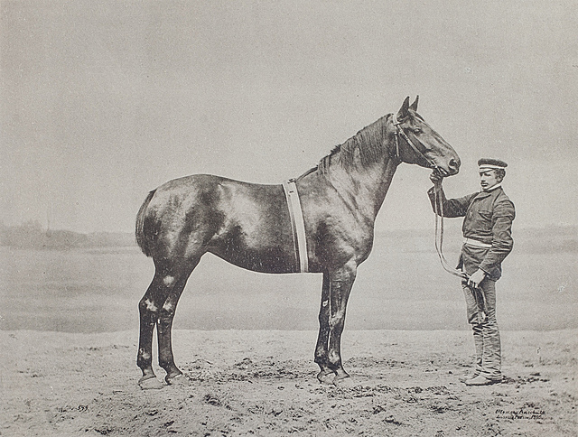 E. MARTENS, Niemcy, XIX w.