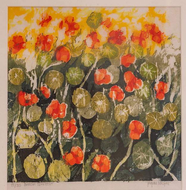 Nasturcje, ok.1960 r.