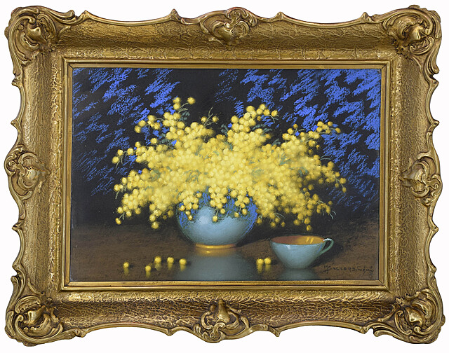 Mimozy