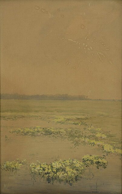 Kaczeńce, 1924