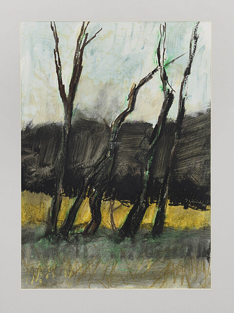 Ostrowik - Drzewa i żółte pole, 1999
