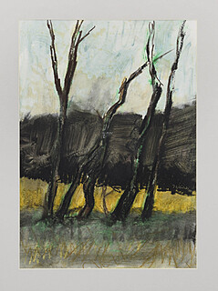 Ostrowik - Drzewa i żółte pole, 1999