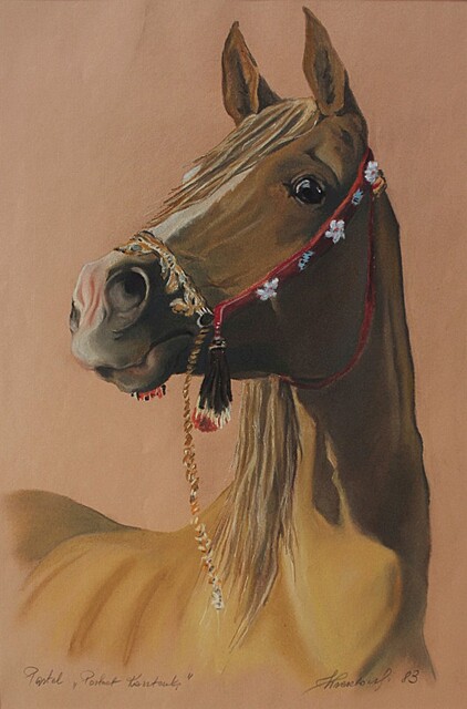 Portret Kasztanki, 1983