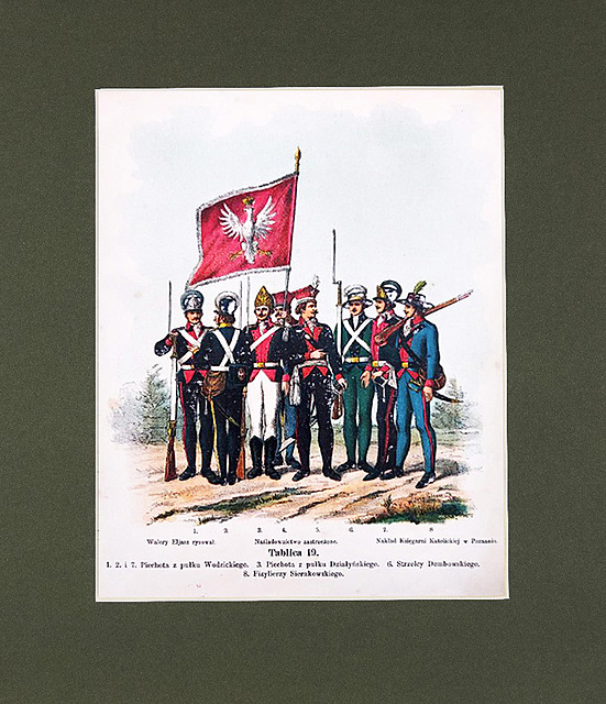 Wojsko Polskie Kościuszki, 1894