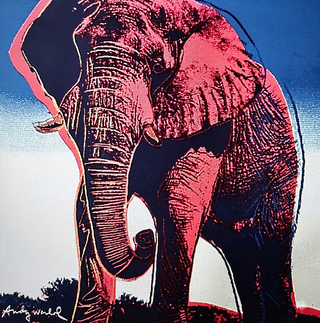 Asian Elephant z cyklu „Zagrożone gatunki”