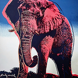 Asian Elephant z cyklu „Zagrożone gatunki”