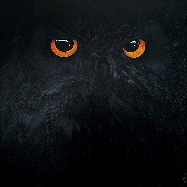 Nocny Łowca
