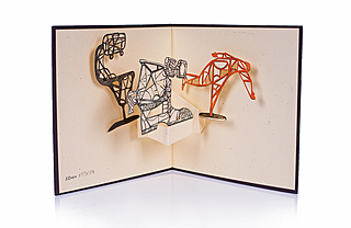 "Demi Volte", 2007 rok