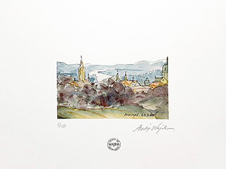 Przemyśl, 2011
