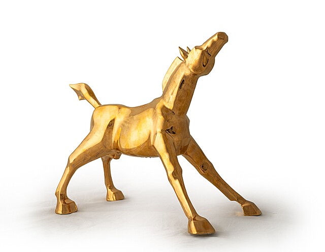 Ihaaa XL model Gold, 2023