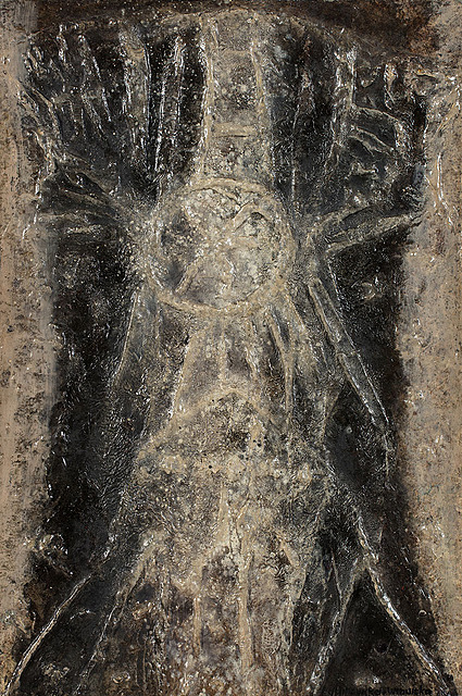 Nr 79 z cyklu biologicznego, 1960