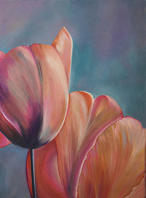 Pink tulips, 2026
