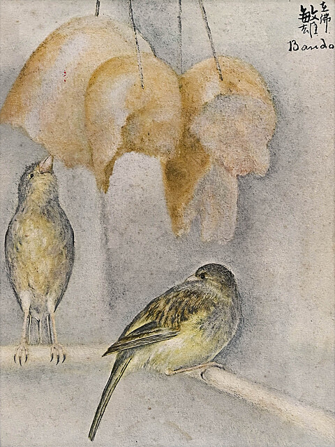 Białe ptaki (Oiseaux blanches)