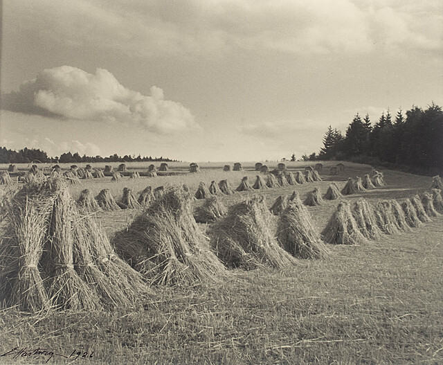 Snopki, 1926