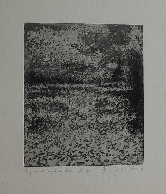 Pejzaż, 1984