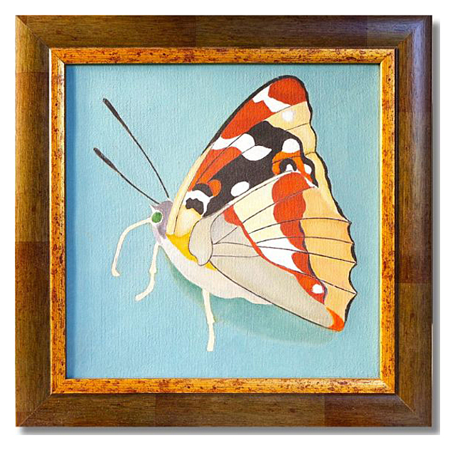 Motyl, 2019 r.