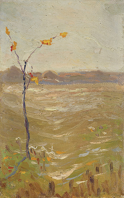 BABIE LATO, SZKIC, 1902