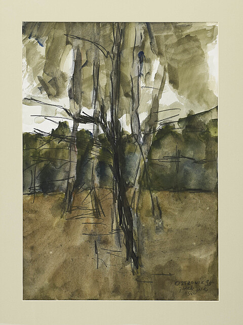 Ostrowik, 1995