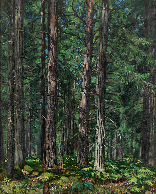 Puszcza Swisłocka, 1934 r.
