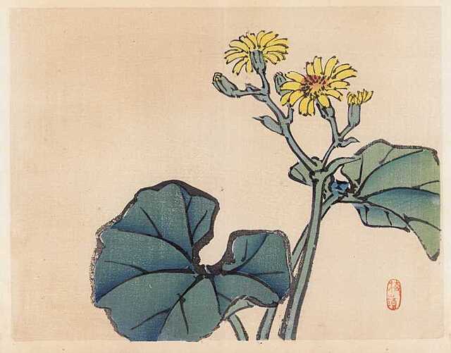 LAMPARCI KWIAT, Kioto, 1913