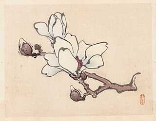 MAGNOLIA, Kioto, 1913