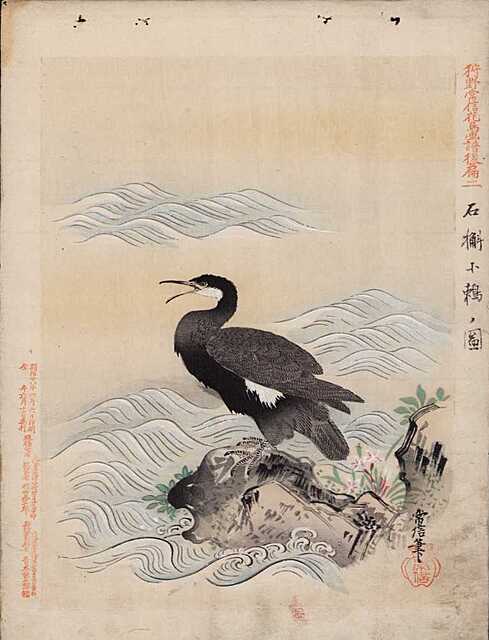 KORMORAN, 1892