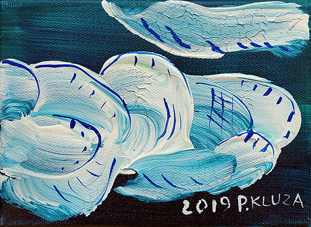 Cumulus, 2019