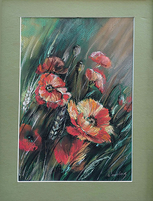 Maki wśród zbóż, 2008
