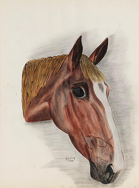 Głowa Konia, 1945
