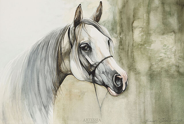 Koń „Brandy”, 2005