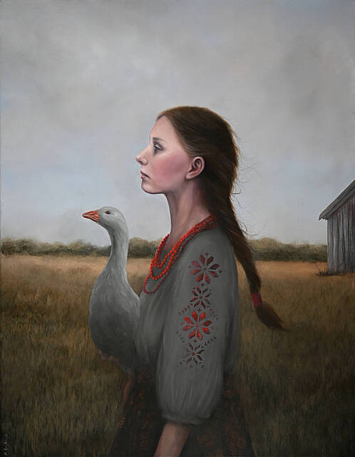 Siwa gąska, siwa, 2026