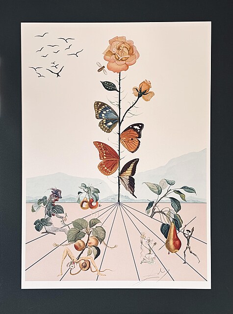 Flordali II, La Rose Papillon